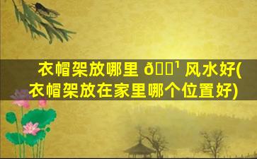 衣帽架放哪里 🌹 风水好(衣帽架放在家里哪个位置好)